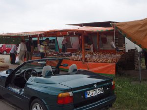 RTF Alpe d'Seevetal  225